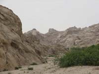 /international/2006Walvisbay/images/Moonscape/thumbnails/moonscape 021.jpg
